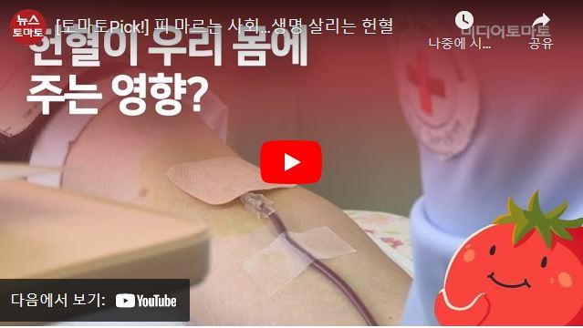 [토마토레터 제176호]피 마르는 사회…생명 살리는 헌혈
