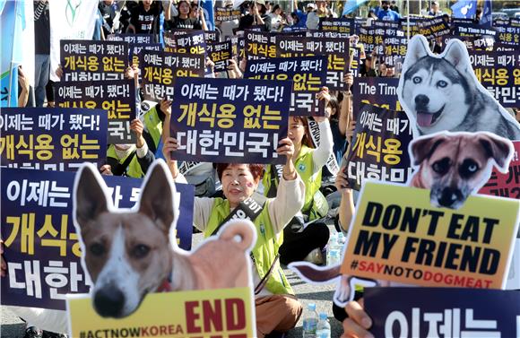 '개 식용 금지법' 국회 법사위 통과…위반시 최장 3년 징역