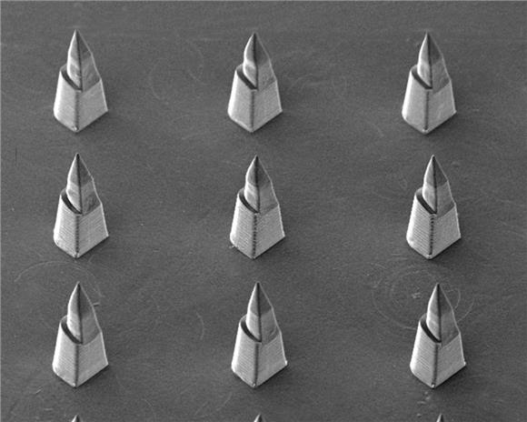 [IB토마토](IPO인사이트)쿼드메디슨, 기술특례 상장으로 임상 속도전 예고