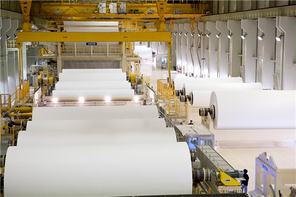 무림·한솔, 관세 직격…깨끗한나라·유한킴벌리, 수익성 악화