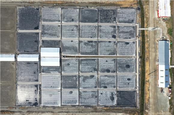 뉴스토마토 관련 이미지