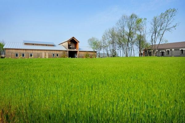 [IB토마토]김정완 야심작 '상하농원', 적자 지속…매일홀딩스 수혈만 커진다