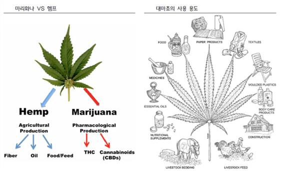 [IB토마토](유증레이다)애머릿지, 불안한 새 주인…'50억 납입' 가능할까