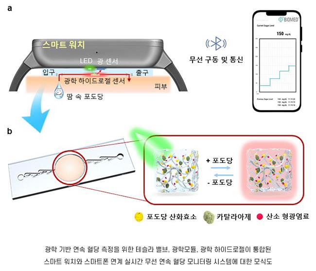 (헬스&사이언스)"땀 한 방울로 혈당·산소포화도·심박수까지 측정" - 뉴스 썸네일 이미지