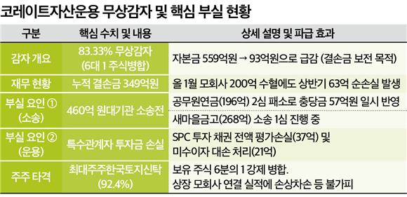 코레이트자산운용, 모회사 200억 수혈에도 무상감자 - 뉴스 썸네일 이미지