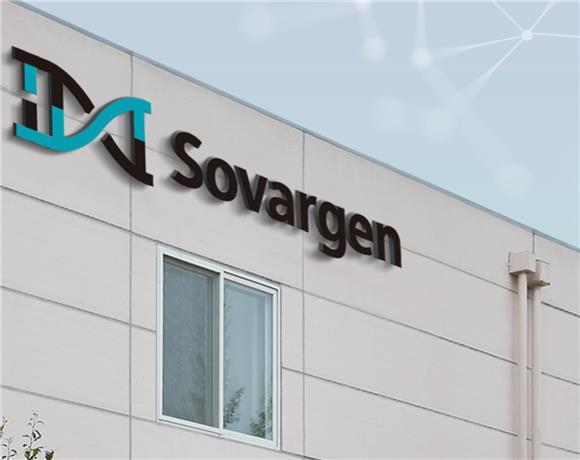 [IB토마토]소바젠, BBB 두 장에 멈춘 코스닥 시계···FI 회수 '장기전'