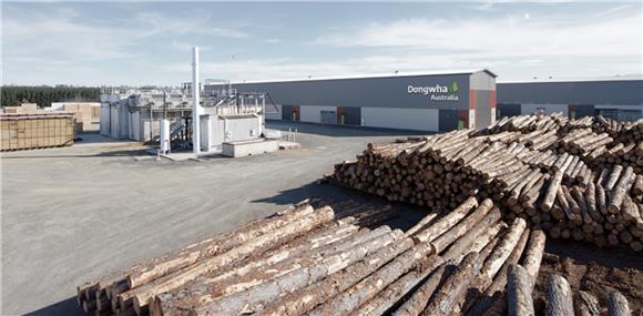 [IB토마토](크레딧시그널)동화기업, 주택경기 한파에 소재사업 '휘청'