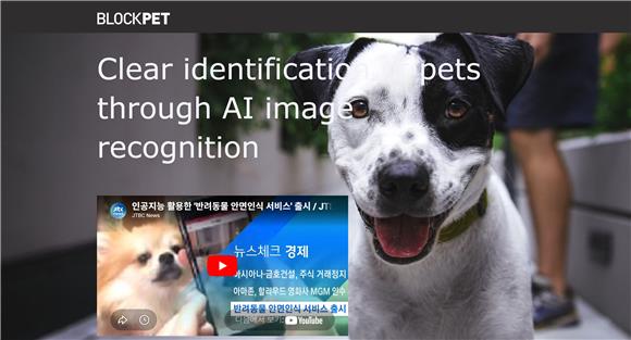 블록펫 파산, RCPS 투자 구조 갈등...드러난 벤처투자 사각지대 - 뉴스 썸네일 이미지