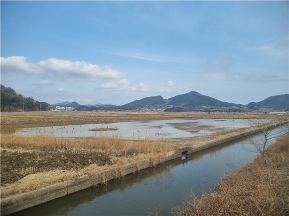 금호석화, 여수 철새 서식지 복원 나선다...3년간 2.6억 투입 - 뉴스 썸네일 이미지
