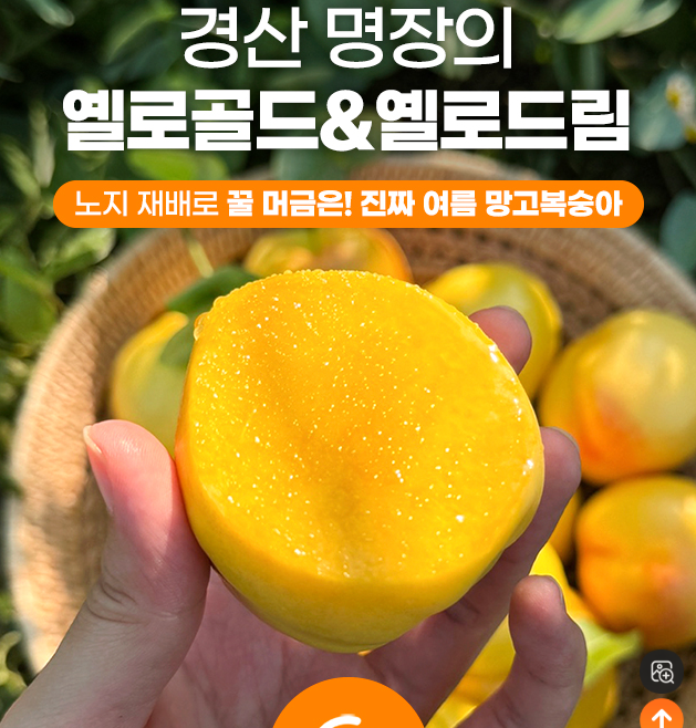 스크린샷 2026-06-25 144010.png