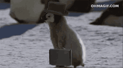 퇴근퇴근퇴근퇴근퇴근.gif