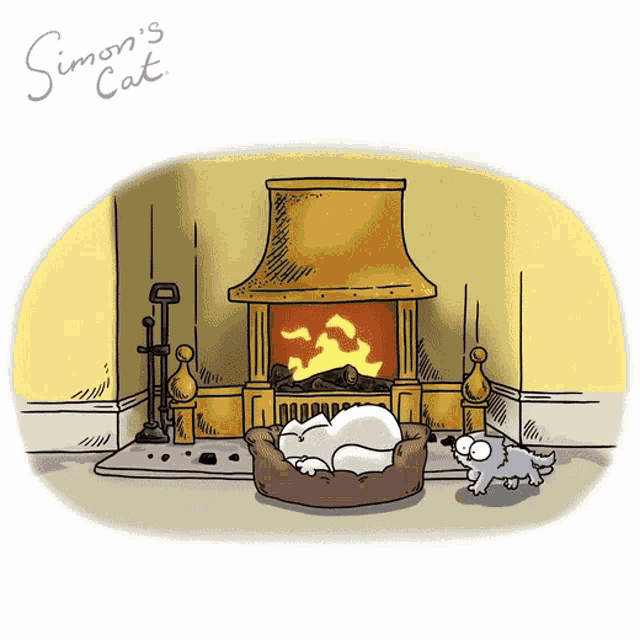 fire-cat.gif